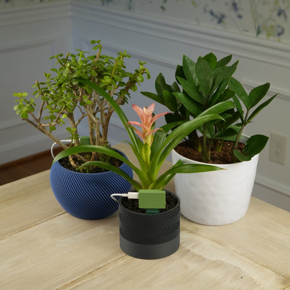 Apollo PLT-1 plant sensor