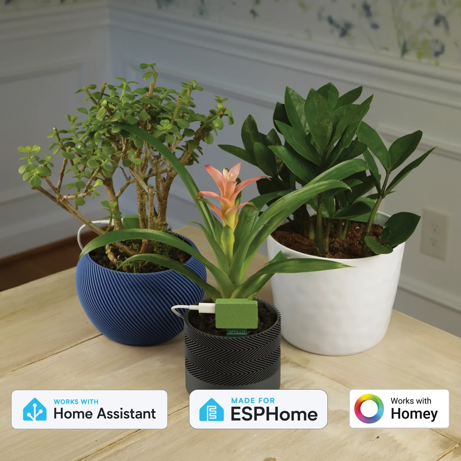 Apollo PLT-1 Plant Sensor — local ESPHome plant sensor measuring soil moisture, temperature, humidity, light and UV