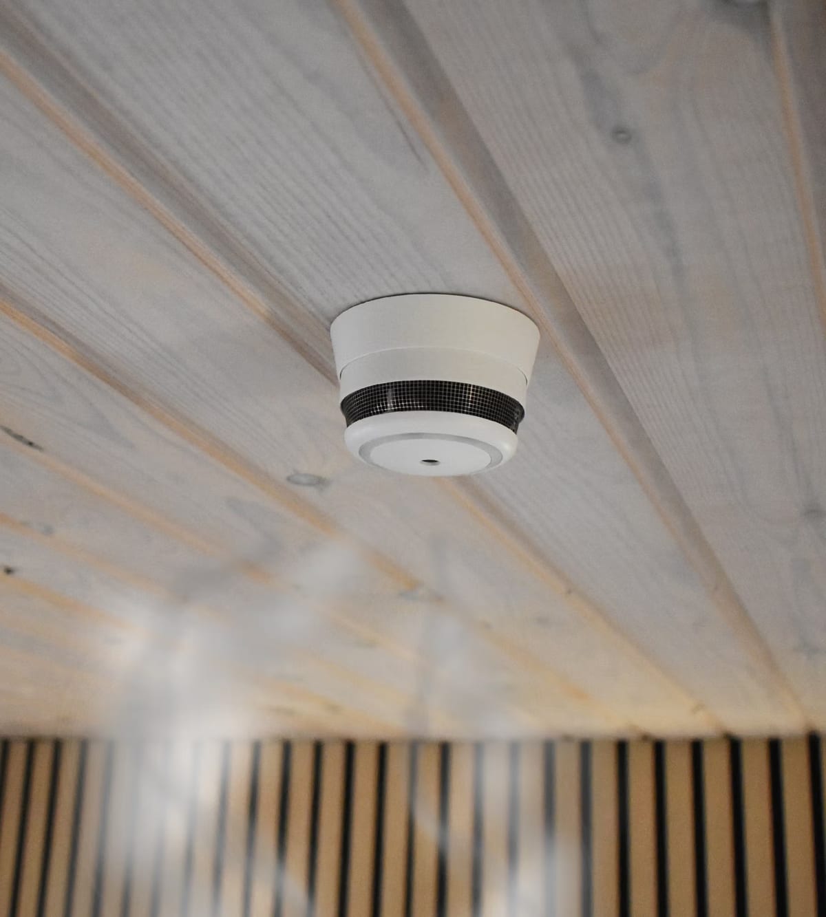 frient Intelligent Smoke Alarm Zigbee smoke detector